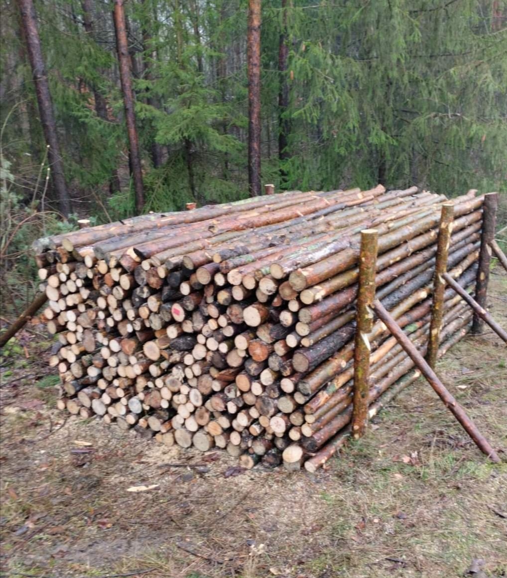 Jak legalnie nabyć drewno z lasu