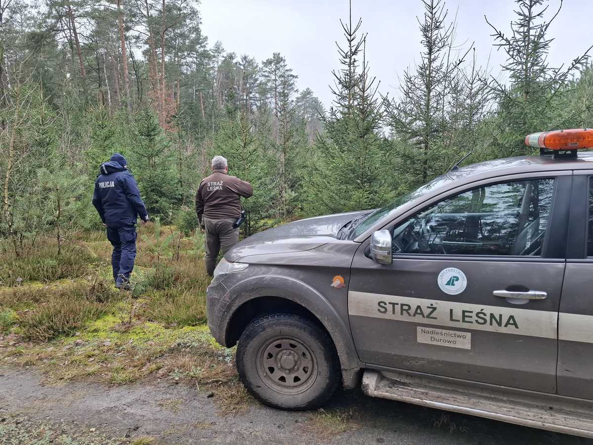 WSPÓLNA AKCJA POLICJI I LEŚNIKÓW- „CHOINKA”🌲🌲🌲🌲🌲🌲🌲🌲🌲🌲