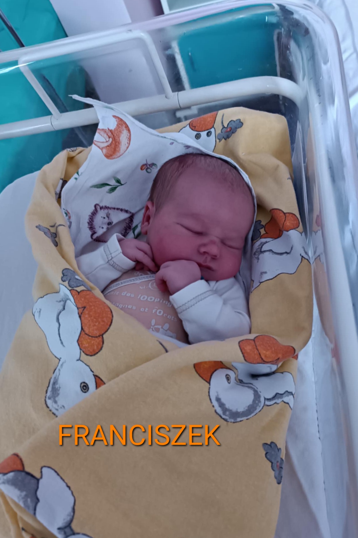 FRANCISZEK 👶