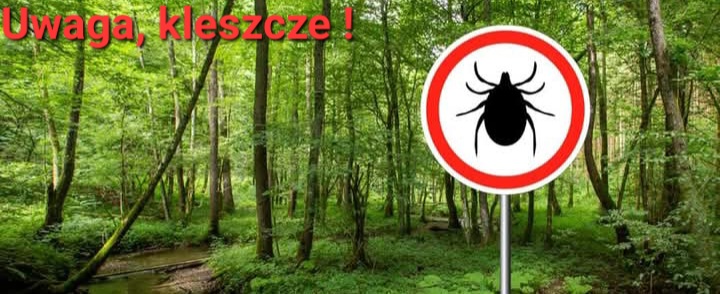 MAŁY KLESZCZ-DUŻY PROBLEM