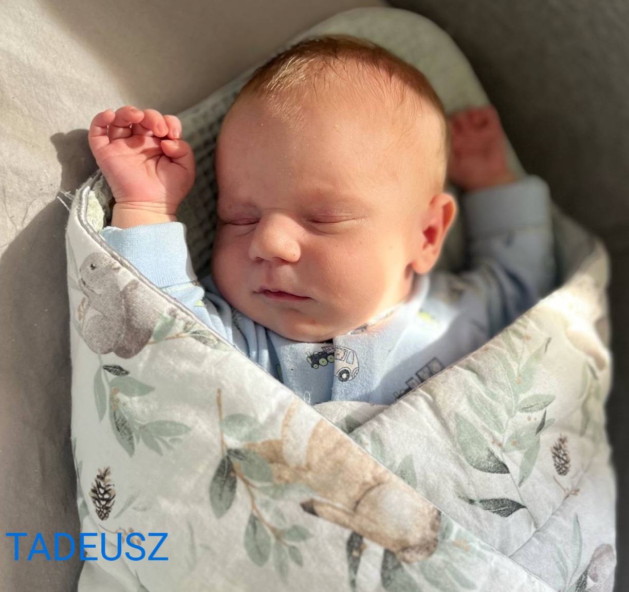 TADEUSZ