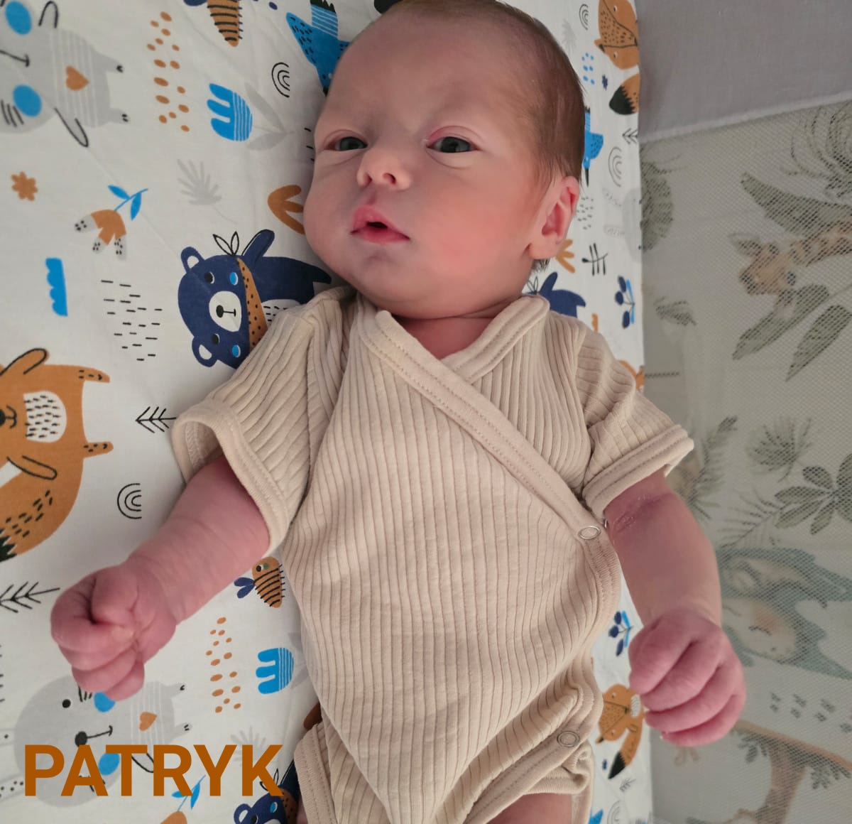 PATRYK 👶🚌 PATRYK 👶🚌