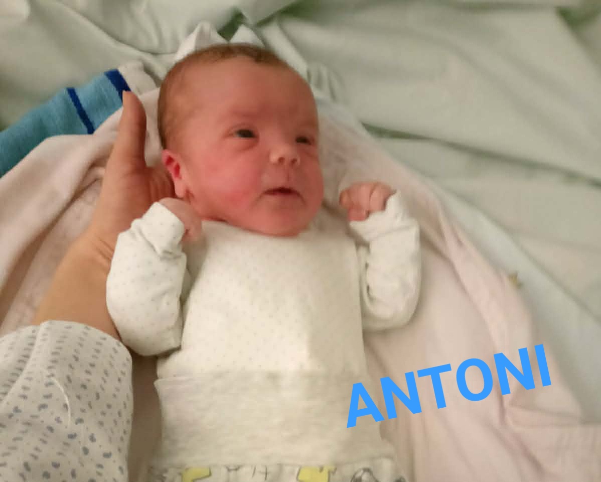 👶ANTONI