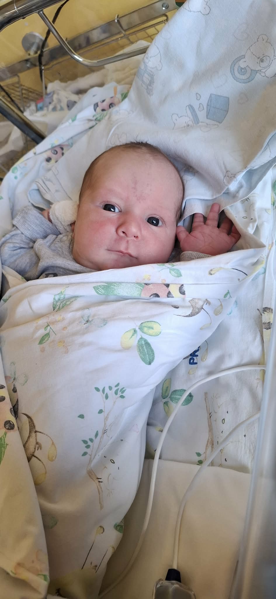 👶KRZYŚ