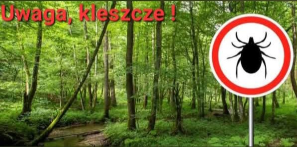 🪳UWAGA, KLESZCZE!!!